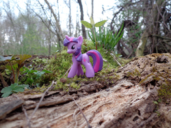 Size: 1280x960 | Tagged: safe, artist:lee-sherman, twilight sparkle, g4, blind bag, irl, photo, toy