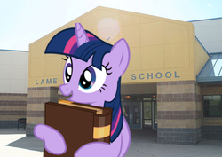 Size: 785x555 | Tagged: safe, twilight sparkle, g4, adorkable, book, bookhorse, cute, dork, irl, nerd, photo, school