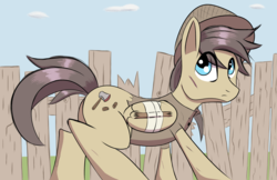 Size: 5100x3300 | Tagged: safe, artist:sirdeeviant, oc, oc only, pegasus, pony, absurd resolution, male, solo