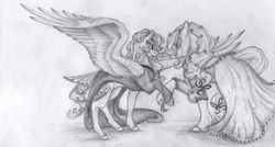 Size: 6808x3648 | Tagged: safe, artist:dawn22eagle, applejack, rainbow dash, earth pony, pegasus, pony, g4, absurd resolution, black and white, clothes, dress, duo, female, flower, flower in mouth, grayscale, lesbian, monochrome, mouth hold, ship:appledash, shipping, tail, tail feathers, traditional art, wings