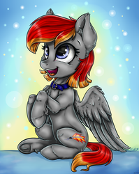 Size: 2686x3368 | Tagged: safe, artist:gaelledragons, oc, oc only, oc:arian blaze, pegasus, pony, behaving like a dog, collar, commission, cute, female, high res, mare, open mouth, sitting, smiling, solo