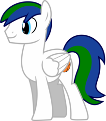 Size: 1024x1168 | Tagged: safe, artist:jeremeymcdude, oc, oc only, oc:colt snow, pegasus, pony, g4, male, show accurate, simple background, solo, stallion, transparent background, vector