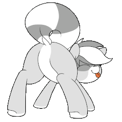 Size: 1000x1000 | Tagged: safe, artist:lockheart, oc, oc only, oc:bandy cyoot, raccoon pony, animated, butt, dock, eyes closed, featureless crotch, female, gif, plot, raised tail, raspberry, rear view, simple background, solo, tail, tongue out, transparent background