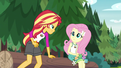 Size: 1280x720 | Tagged: safe, screencap, fluttershy, sunset shimmer, equestria girls, g4, my little pony equestria girls: legend of everfree, clothes, embrace the magic, female, flower, lidded eyes, log, shorts, sun, tree