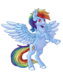 Size: 500x600 | Tagged: safe, artist:zubliter, rainbow dash, pegasus, pony, g4, female, fluffy, majestic, mare, rearing, simple background, solo, transparent background, unshorn fetlocks
