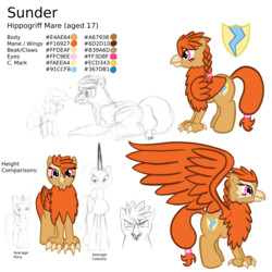 Size: 1280x1280 | Tagged: safe, artist:cybersquirrel, oc, oc only, oc:sunder, classical hippogriff, hippogriff, female, reference sheet, solo