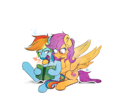 Size: 1200x1000 | Tagged: safe, artist:redheadfly, rainbow dash, scootaloo, pony, g4, blushing, book, female, lesbian, ship:scootadash, shipping, simple background, spread wings, sticker, transparent background, wingboner, wings