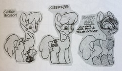 Size: 3264x1893 | Tagged: safe, artist:jay fosgitt, idw, cheerilee, cherry blossom (g4), earth pony, pony, g4, spoiler:comic29, art is magic, female, flower, mask, mystery mare, siblings, sisters, twins