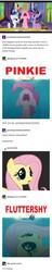 Size: 540x2830 | Tagged: safe, editor:potato22, fluttershy, pinkie pie, g4, exploitable meme, jaws, meme, open mouth, screenshots, thread, tumblr