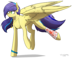 Size: 2402x1930 | Tagged: safe, artist:lrusu, oc, oc only, oc:lilly hyde, pegasus, pony, bandage, blood, female, mare, simple background, solo, transparent background