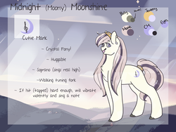 Size: 2000x1500 | Tagged: safe, artist:liefsong, oc, oc only, oc:midnight moonshine, crystal pony, pony, reference sheet, solo