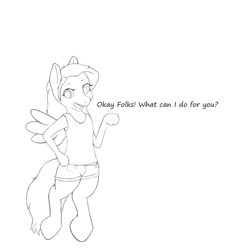 Size: 1400x1400 | Tagged: safe, artist:sparkle tushie, oc, oc only, pegasus, pony, semi-anthro, clothes, lineart, looking at you, shorts, simple background, sketch, solo, tank top, white background