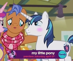 Size: 737x624 | Tagged: safe, edit, edited screencap, screencap, carrot top, daisy, flower wishes, golden harvest, princess cadance, shining armor, spearhead, time flies, pony, unicorn, a flurry of emotions, g4, bisexual, blushing, gay, gay in front of girls, male, shipping, spearmor, stallion