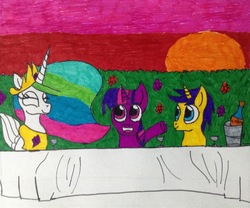 Size: 1876x1561 | Tagged: safe, artist:frollo7797, comet tail, princess celestia, twilight sparkle, alicorn, pony, g4, drawing, female, garden, male, mare, meeting, ship:cometlight, shipping, straight, traditional art