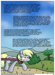 Size: 1400x1900 | Tagged: safe, artist:moemneop, derpy hooves, changeling, pegasus, pony, comic:shifting changelings lies and truths, g4, comic, disguise, disguised changeling, female, solo, text, wall of text