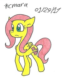 Size: 612x767 | Tagged: safe, artist:cmara, fluttershy, g4, female, solo, traditional art