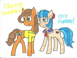 Size: 1241x926 | Tagged: safe, artist:cmara, cheese sandwich, coco pommel, earth pony, pony, g4, cheesecoco, female, lined paper, male, shipping, straight, traditional art