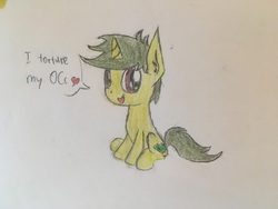 Size: 4032x3024 | Tagged: safe, artist:professionalpuppy, oc, oc only, oc:whatsapony, pony, cute, heart, high res, solo