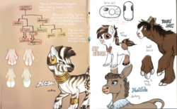 Size: 1280x796 | Tagged: safe, artist:jayrockin, matilda, pipsqueak, trouble shoes, zecora, donkey, earth pony, horse, hybrid, pony, zebra, tiny sapient ungulates, alternate universe, blue eyes, bracelet, brown eyes, brown hair, clothes, cutie mark, dock, ear piercing, earring, evolution, female, finger hooves, green eyes, jewelry, mare, mohawk, neck rings, necklace, phylogenetic tree, piercing, reference sheet, skull, stripes, tail, toes, whiskers
