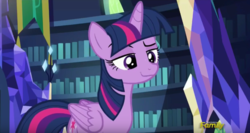 Size: 819x436 | Tagged: safe, screencap, twilight sparkle, alicorn, pony, a flurry of emotions, g4, discovery family logo, faic, raised eyebrow, smiling, smirk, twilight sparkle (alicorn), twilight's castle