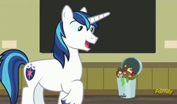 Size: 789x465 | Tagged: safe, screencap, shining armor, pony, a flurry of emotions, g4, art exhibition, male, solo, trash can