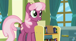 Size: 852x468 | Tagged: safe, screencap, cheerilee, earth pony, pony, a flurry of emotions, g4, book, bookshelf, female, solo