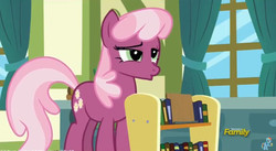 Size: 852x468 | Tagged: safe, screencap, cheerilee, earth pony, pony, a flurry of emotions, g4, book, bookshelf, faic