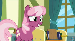 Size: 852x468 | Tagged: safe, screencap, cheerilee, earth pony, pony, a flurry of emotions, g4, book, bookshelf, female, solo