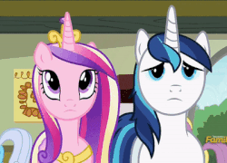 Size: 400x288 | Tagged: safe, screencap, princess cadance, shining armor, alicorn, pony, unicorn, a flurry of emotions, g4, animated, art or a mistake, cute, cutedance, discovery family logo, female, gif, loop, male, mare, meme, perfect loop, reaction, reaction image, shining adorable, stallion