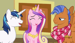 Size: 600x348 | Tagged: safe, screencap, princess cadance, shining armor, spearhead, pony, a flurry of emotions, g4, animated, art exhibition, clothes, gif, scarf