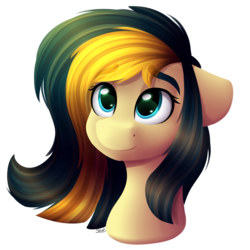 Size: 2000x2000 | Tagged: safe, artist:spirit-dude, oc, oc only, oc:flower heart, pony, commission, cute, female, floppy ears, high res, mare, simple background, smiling, solo, transparent background