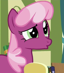 Size: 297x338 | Tagged: safe, screencap, cheerilee, earth pony, pony, a flurry of emotions, g4, confused, female, reaction image, solo, wat