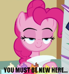 Size: 380x411 | Tagged: safe, screencap, pinkie pie, earth pony, pony, a flurry of emotions, g4, cropped, female, lidded eyes, mare, solo, you must be new here