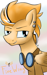 Size: 1208x1920 | Tagged: safe, artist:stormer, oc, oc only, pegasus, pony, piercing, simple background