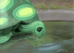 Size: 1280x919 | Tagged: safe, artist:desertfox500, tank, tortoise, g4, drinking, looking down, male, reflection, signature, smiling, solo, water
