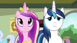 Size: 427x240 | Tagged: safe, edit, edited screencap, screencap, linky, parasol, princess cadance, shining armor, shoeshine, alicorn, pony, unicorn, a flurry of emotions, g4, animated, confused, crown, gif, jewelry, looking at each other, raised eyebrow, regalia, smiling