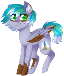 Size: 2075x2459 | Tagged: safe, artist:shiromidorii, oc, oc only, oc:cirrus fever, pegasus, pony, colored pupils, cute, ear fluff, green eyes, high res, looking at you, male, markings, ocbetes, profile, raised leg, simple background, solo, spots, standing, transparent background