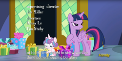 Size: 1920x970 | Tagged: safe, screencap, princess flurry heart, twilight sparkle, alicorn, pony, a flurry of emotions, g4, meme, twilight sparkle (alicorn), youtube caption