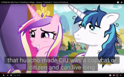 Size: 1920x1200 | Tagged: safe, screencap, princess cadance, shining armor, pony, a flurry of emotions, g4, my little pony: friendship is magic, bags under eyes, meme, youtube caption