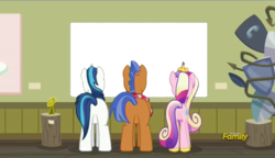 Size: 1280x738 | Tagged: safe, princess cadance, shining armor, spearhead, alicorn, pony, unicorn, a flurry of emotions, g4, my little pony: friendship is magic, a thousand nights in a hallway, exploitable meme, female, image macro, male, mare, meme, stallion, template