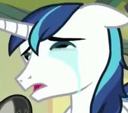 Size: 314x277 | Tagged: safe, screencap, shining armor, pony, unicorn, a flurry of emotions, g4, cropped, crying, crying armor, liquid pride, male, reaction image, sad, sad armor, solo, stallion, whining, whining armor