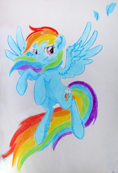 Size: 1690x2465 | Tagged: safe, artist:thorinstrawberry, rainbow dash, pony, g4, female, solo, traditional art