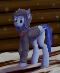 Size: 877x1068 | Tagged: safe, artist:transgressors-reworks, derpibooru exclusive, oc, oc only, oc:safety first, pegasus, pony, 4chan, clothes, goggles, hoodie, snow, solo, winter