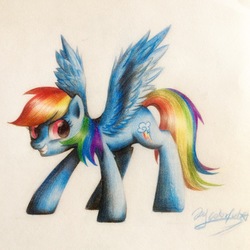 Size: 1936x1936 | Tagged: safe, artist:oofycolorful, rainbow dash, pony, g4, female, grin, simple background, smiling, solo, spread wings, traditional art, wings