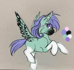 Size: 2048x1931 | Tagged: safe, artist:hkpegasister, oc, oc only, oc:felicity, pony, legs in air, original character do not steal, solo, wings
