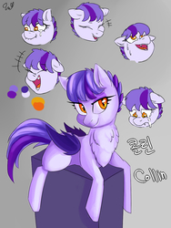 Size: 900x1200 | Tagged: safe, artist:passigcamel, oc, oc only, oc:collin, bat pony, pony, bat pony oc, korean, reference sheet, solo