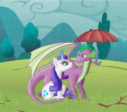 Size: 1136x1000 | Tagged: safe, artist:sfairat, rarity, spike, dragon, g4, female, male, older, older spike, rain, ship:sparity, shipping, straight, umbrella, wing umbrella, winged spike, wings