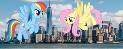 Size: 1959x780 | Tagged: safe, artist:jawsandgumballfan24, fluttershy, rainbow dash, pony, g4, empire state building, giant pony, irl, macro, new york city, one world trade center, photo, ponies in real life, skyscraper