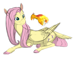 Size: 2931x2258 | Tagged: safe, artist:kroftyfennec, artist:tyandagaart, fluttershy, bird, pegasus, phoenix, pony, g4, colored hooves, colored sketch, female, folded wings, high res, looking at each other, looking at something, mare, phoenix chick, prone, simple background, sketch, solo, tail feathers, turned head, white background