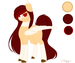 Size: 1024x860 | Tagged: safe, artist:php146, oc, oc only, oc:yeri, pegasus, pony, colored pupils, colored wings, eye clipping through hair, female, mare, reference sheet, solo